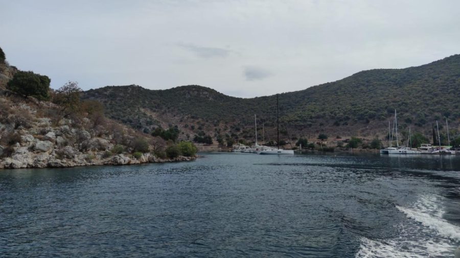 gocek aa 2234644 eq22iB