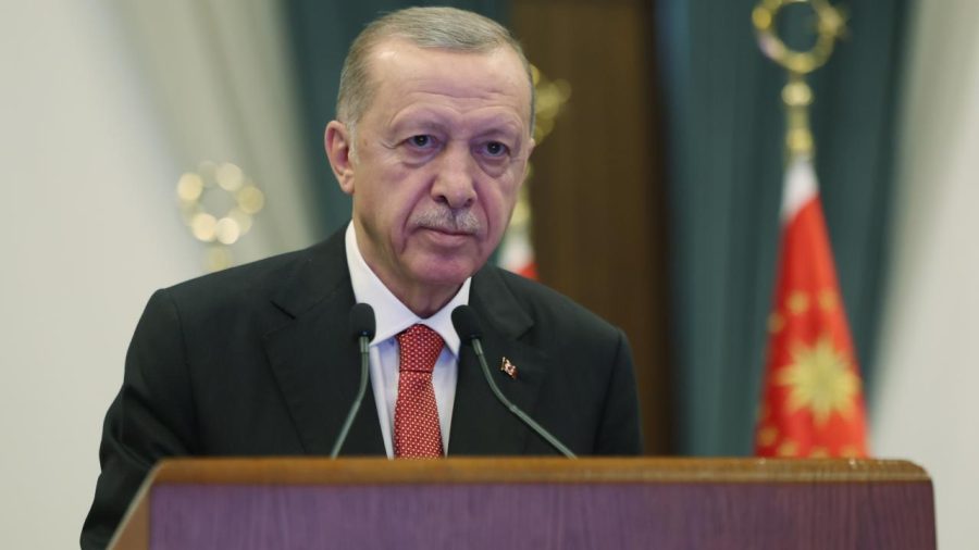 erdogan aa 2058786 k3NTpf